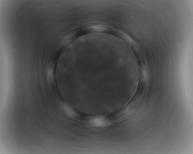 X0000113850377200910011005