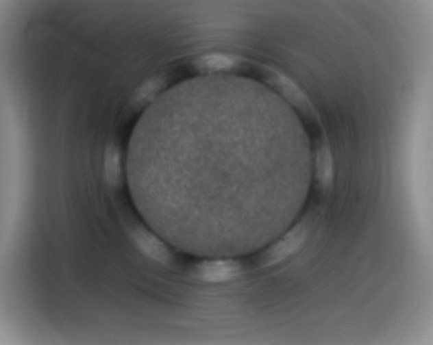 X0000113850378200910011006