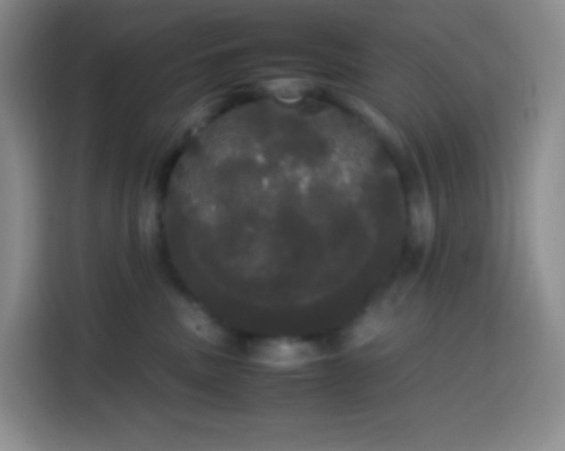 X0000113850379200910011006