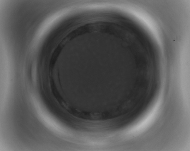 X0000113850382200910011006