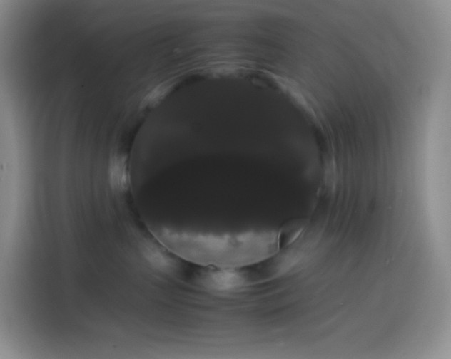 X0000113850383200910011006