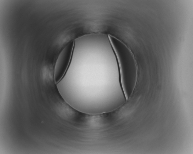 X0000113850384200910011006