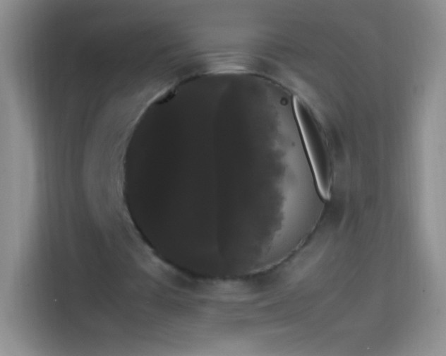 X0000113850385200910011005