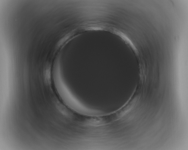 X0000113850386200910011005