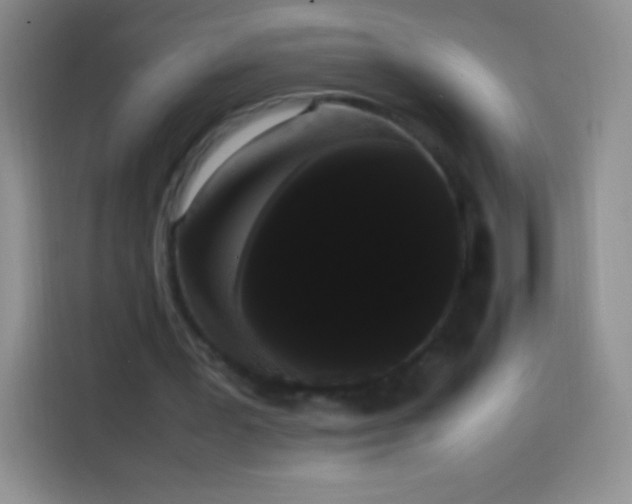 X0000113850387200910011005