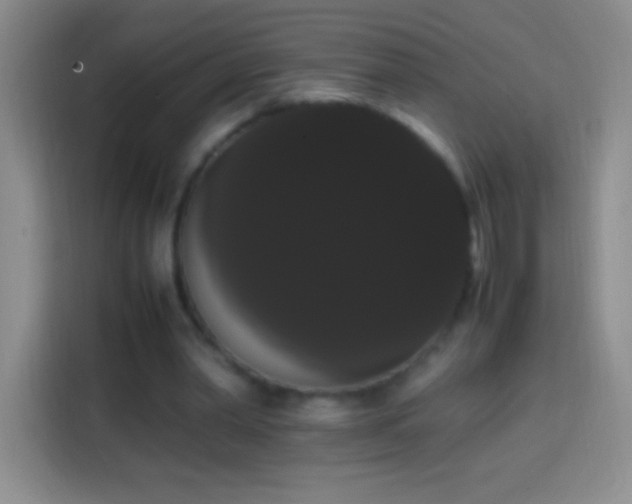 X0000113850390200910011005