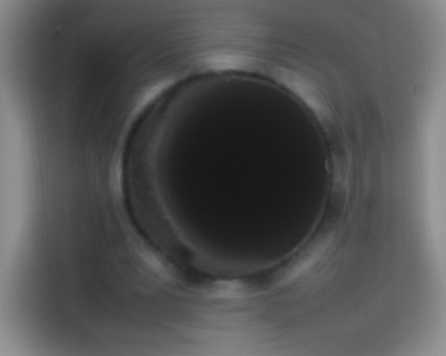 X0000113850391200910011005