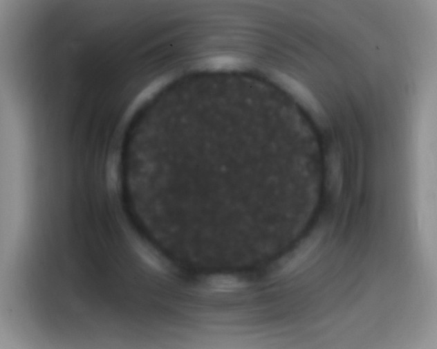 X0000113850392200910011005