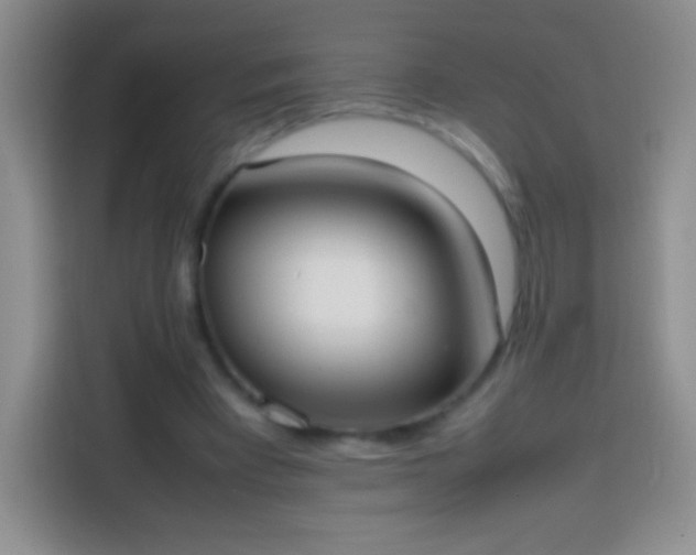 X0000113850393200910011005