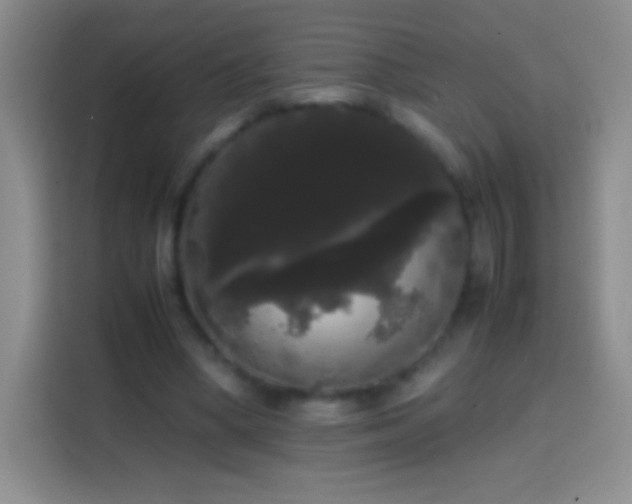 X0000113850394200910011005