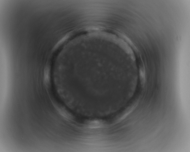 X0000113850396200910011005