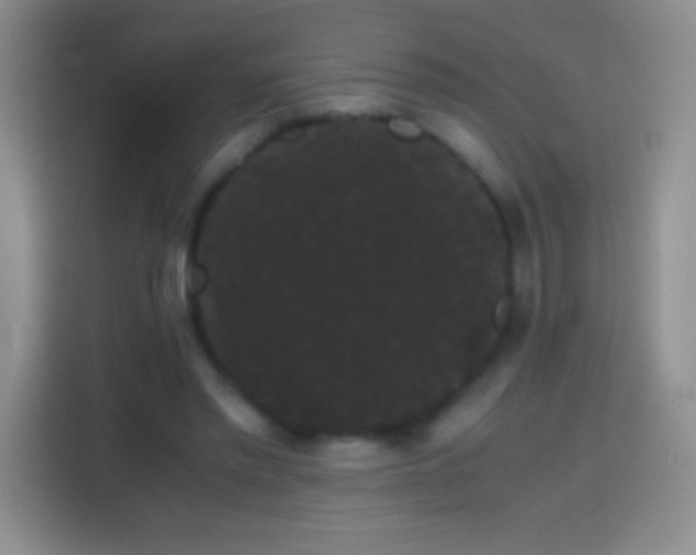 X0000113850397200910011005