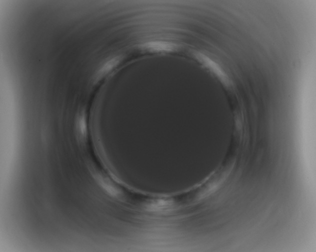 X0000113850398200910011005