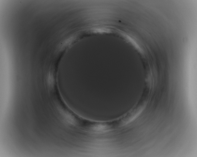 X0000113850402200910011005