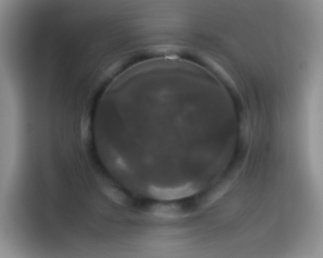 X0000113850403200910011005