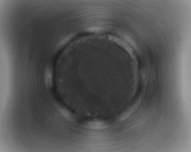 X0000113850404200910011005