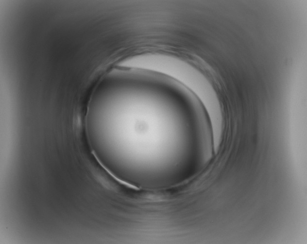 X0000113850405200910011005