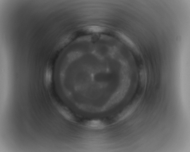 X0000113850406200910011005