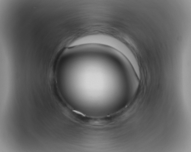 X0000113850407200910011005