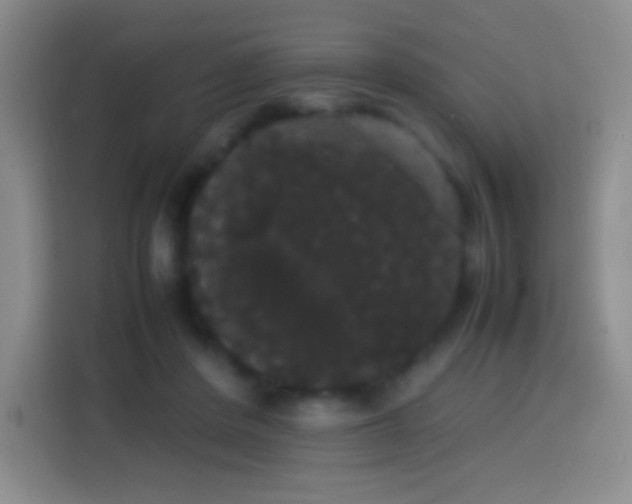 X0000113850408200910011005