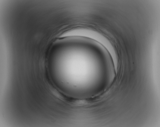 X0000113850409200910011005