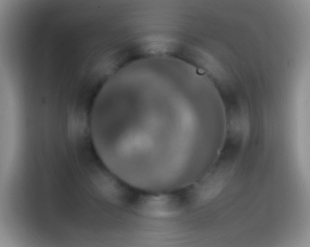 X0000113850411200910011005