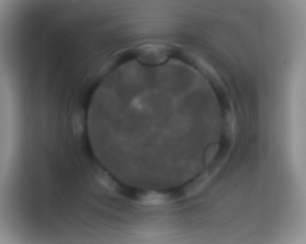 X0000113850413200910011005