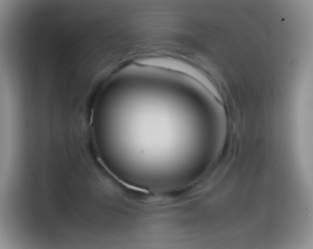 X0000113850415200910011005