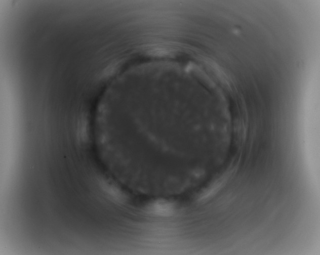 X0000113850416200910011005