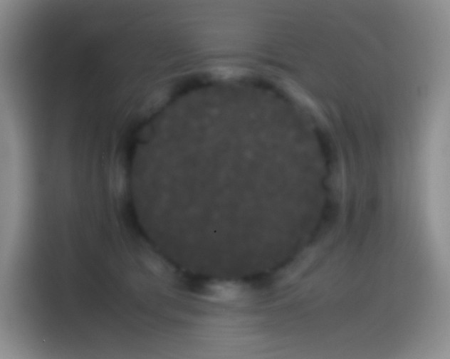 X0000113850417200910011005