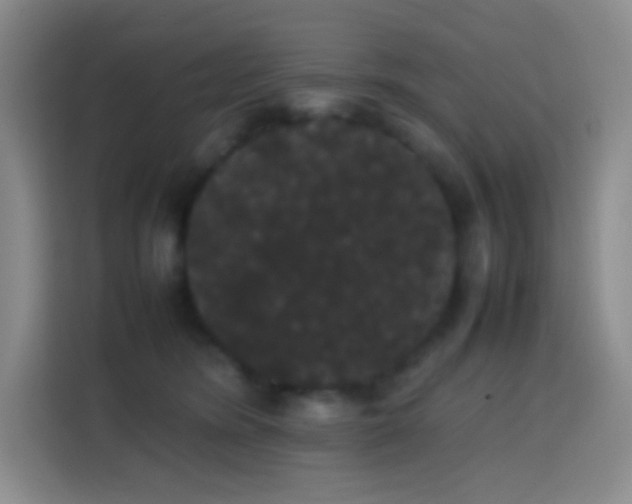 X0000113850420200910011005