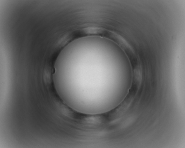 X0000113850422200910011004