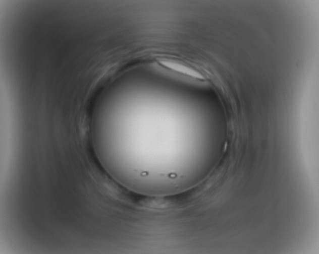 X0000113850423200910011004