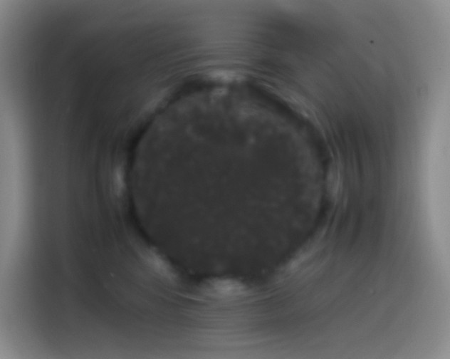 X0000113850424200910011004