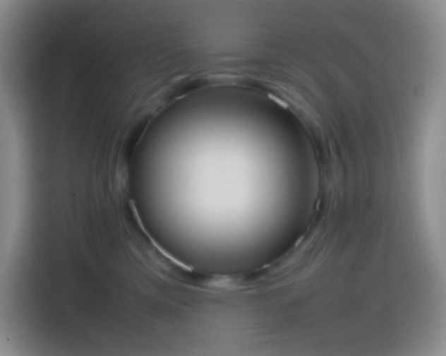 X0000113850425200910011004