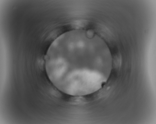 X0000113850427200910011004