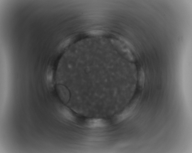 X0000113850428200910011004