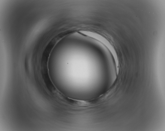 X0000113850429200910011004