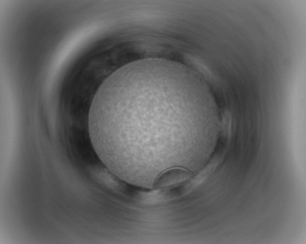 X0000113850430200910011004