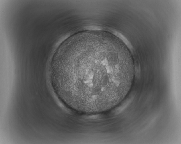 X0000113850433200910011004