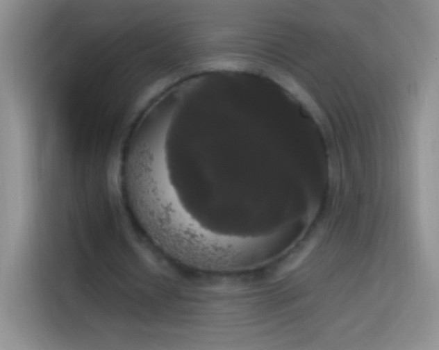 X0000113850434200910011004