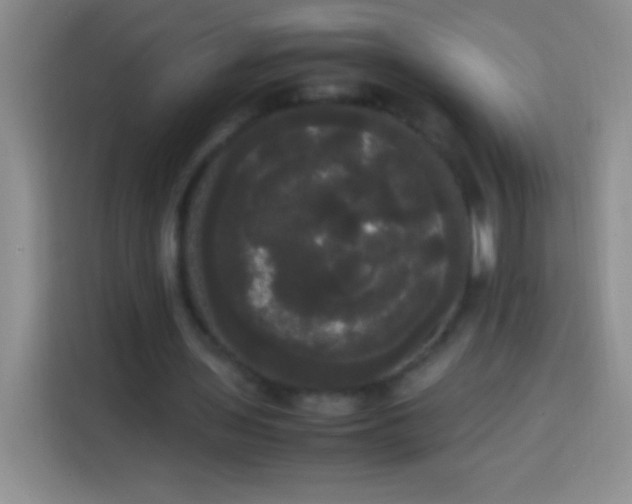 X0000113850435200910011004