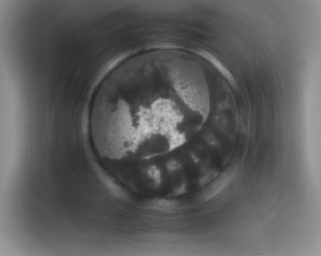 X0000113850437200910011004