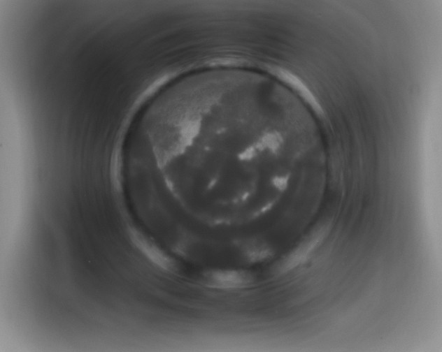 X0000113850439200910011004