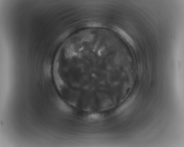 X0000113850441200910011004