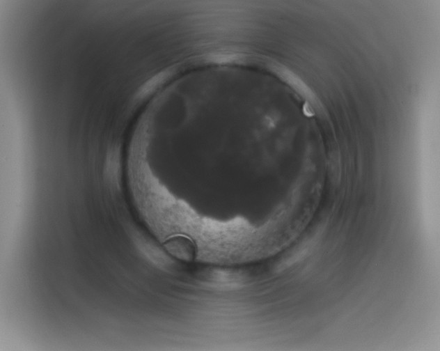 X0000113850442200910011004