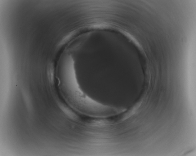 X0000113850446200910011004