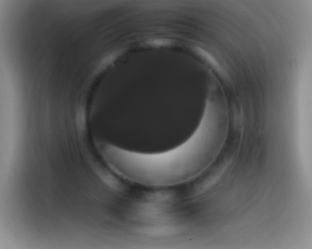 X0000113850447200910011004