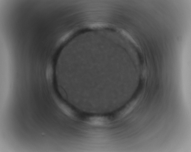 X0000113850448200910011004