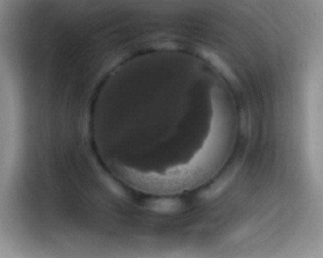 X0000113850449200910011004